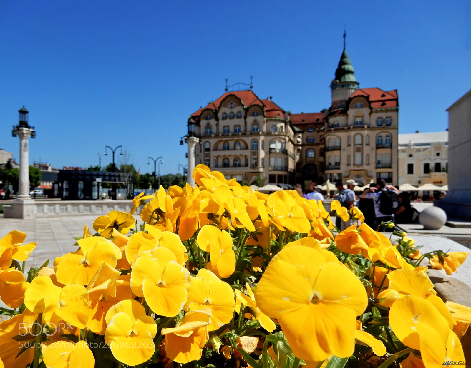 Nikon Coolpix A900 sample photo. Oradea photography