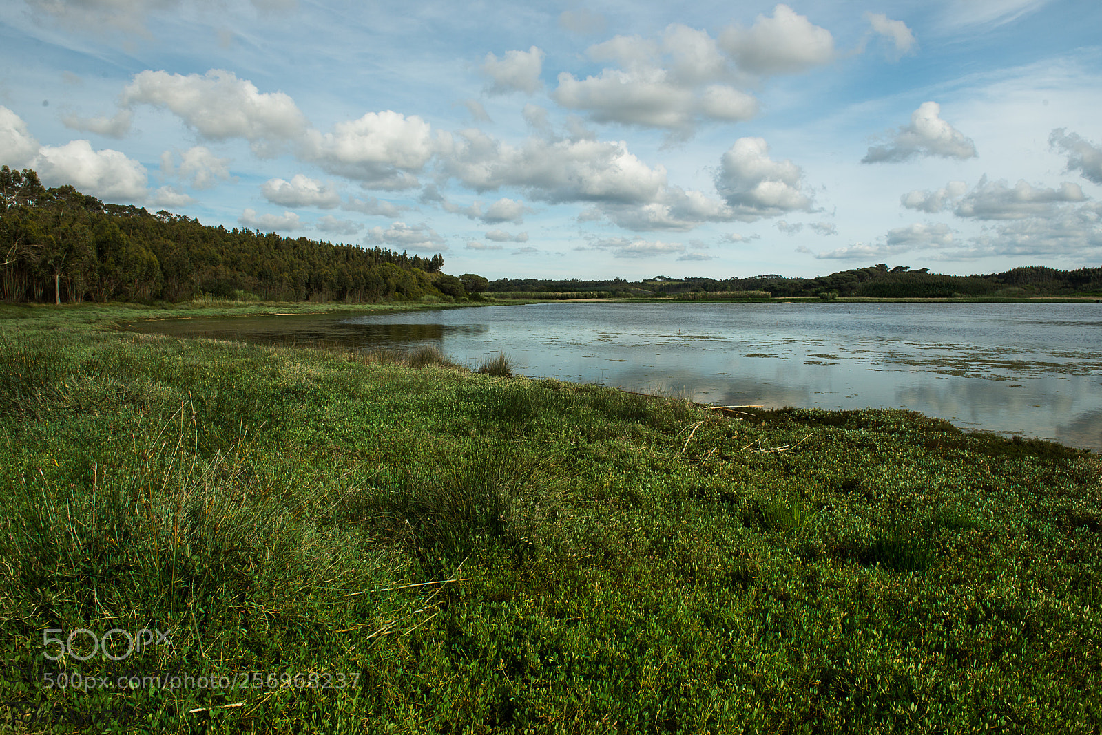 Nikon D610 sample photo. A lagoa photography