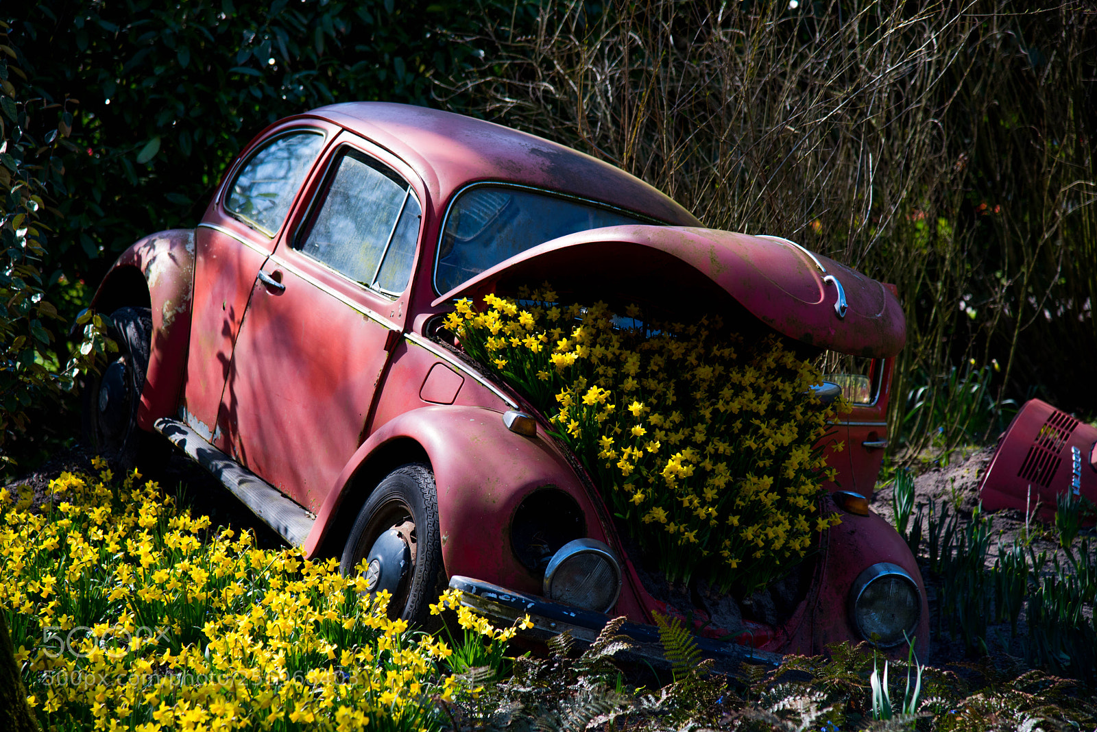 Nikon D750 sample photo. Dsc photography