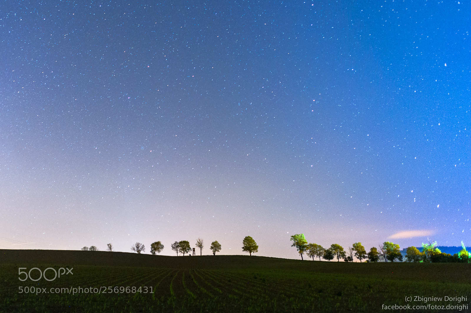 Nikon D700 sample photo. Night landscape with million photography