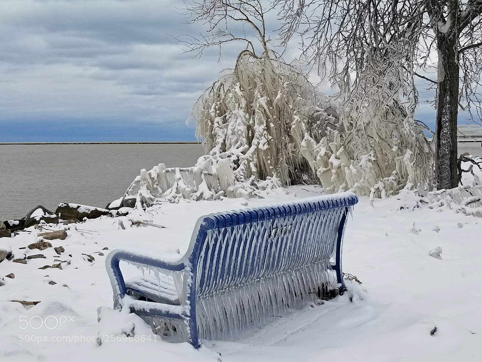 Samsung Galaxy S8 sample photo. Cold seat photography