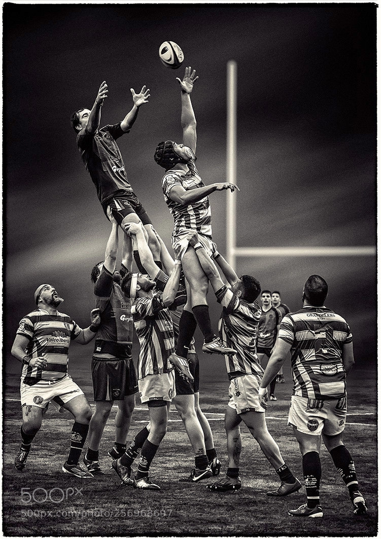 Olympus OM-D E-M1 Mark II sample photo. Line out photography