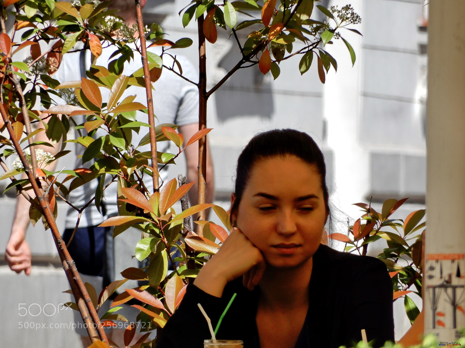 Nikon Coolpix A900 sample photo. Oradea photography