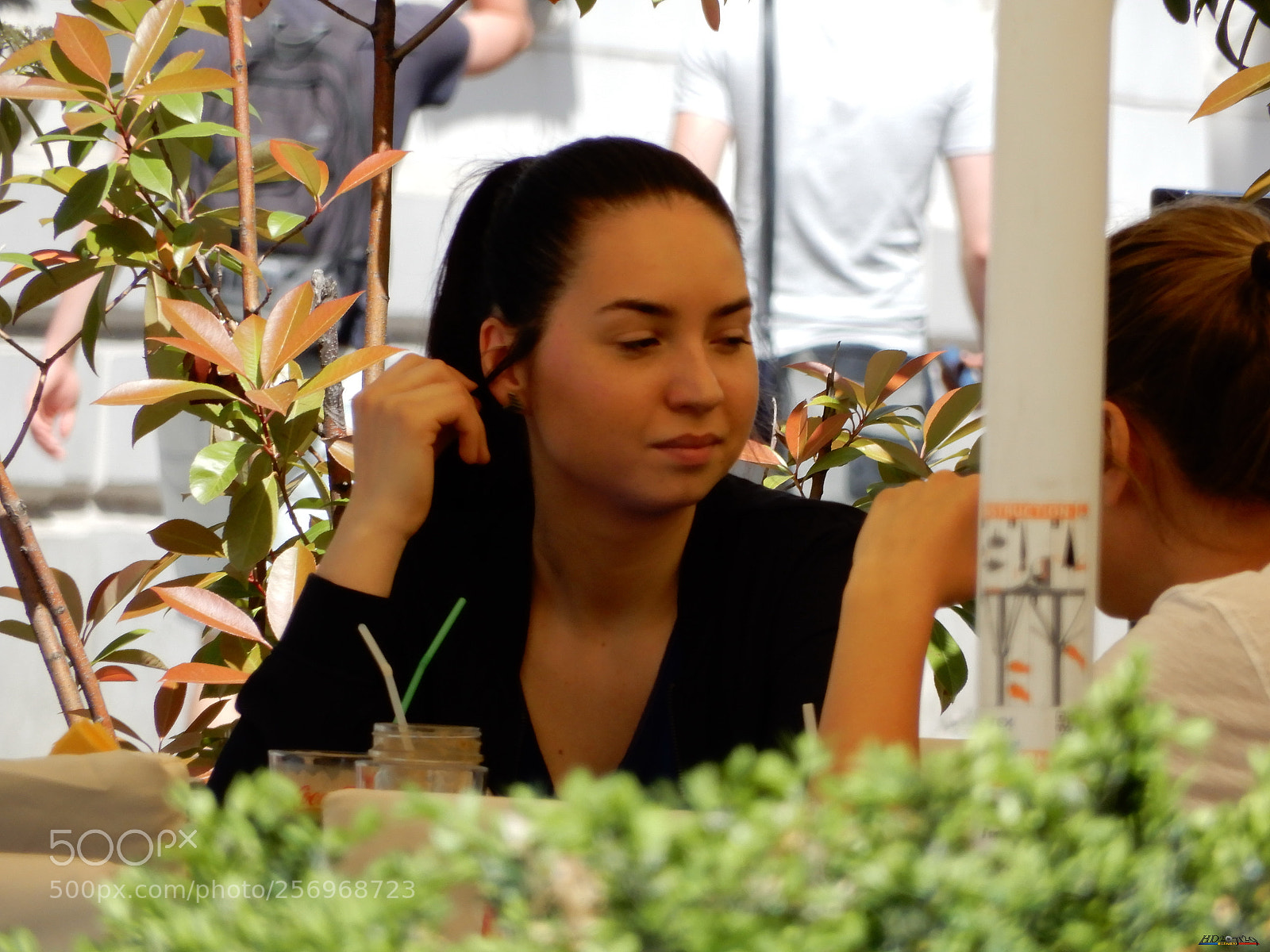 Nikon Coolpix A900 sample photo. Oradea photography