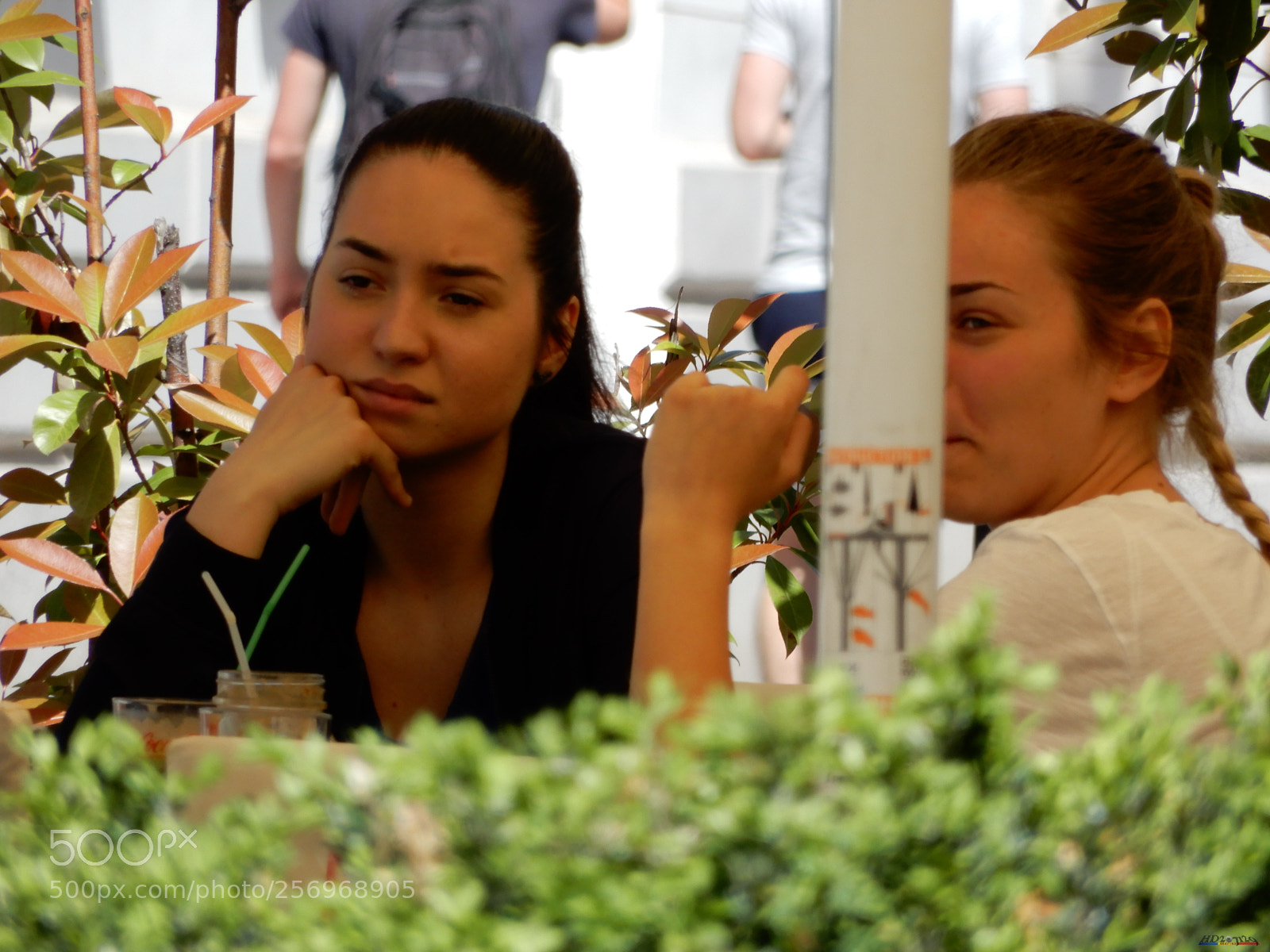 Nikon Coolpix A900 sample photo. Oradea photography