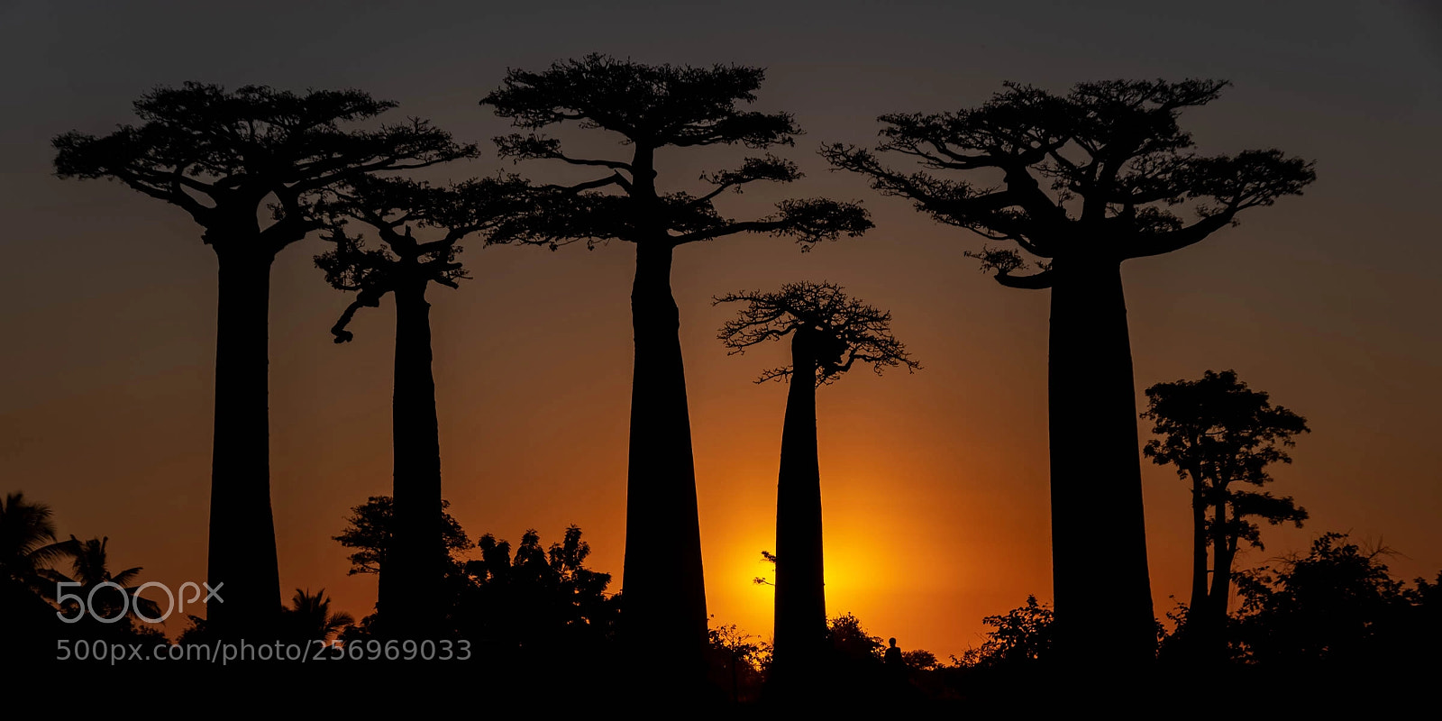 Pentax K-1 sample photo. Sunset in madagascar photography