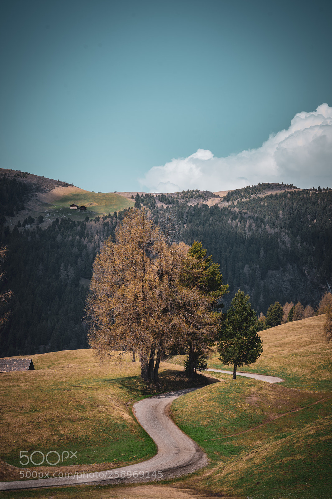 Sony a7 sample photo. Alpe di siusi photography