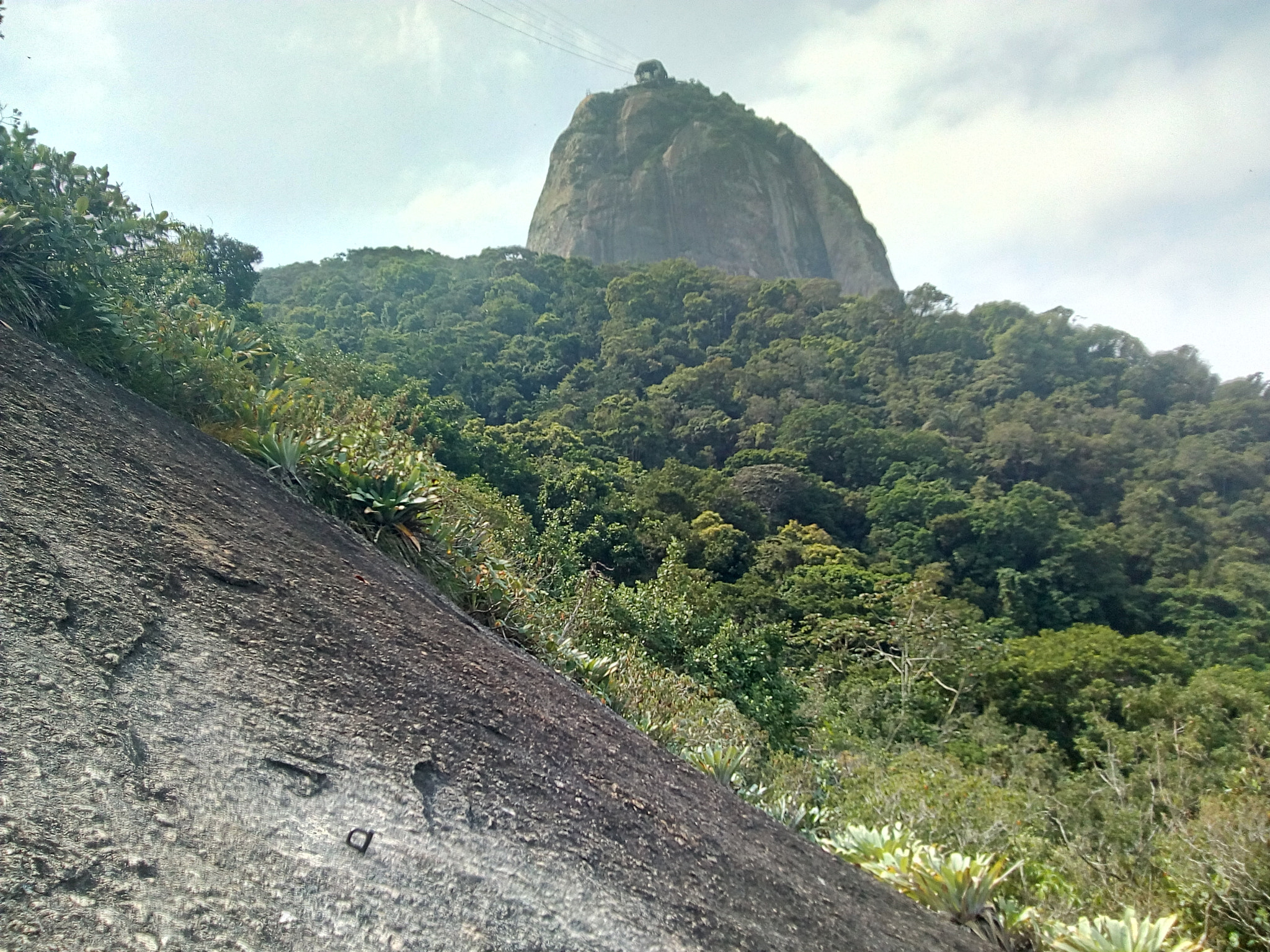 Motorola Moto C Plus sample photo
