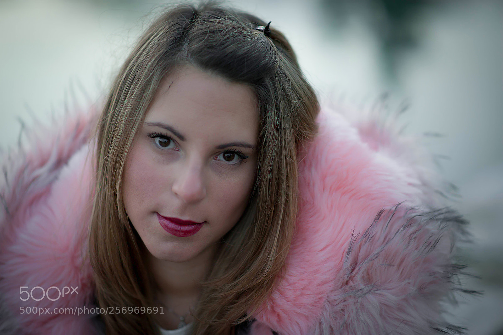 Nikon D700 sample photo. A photography
