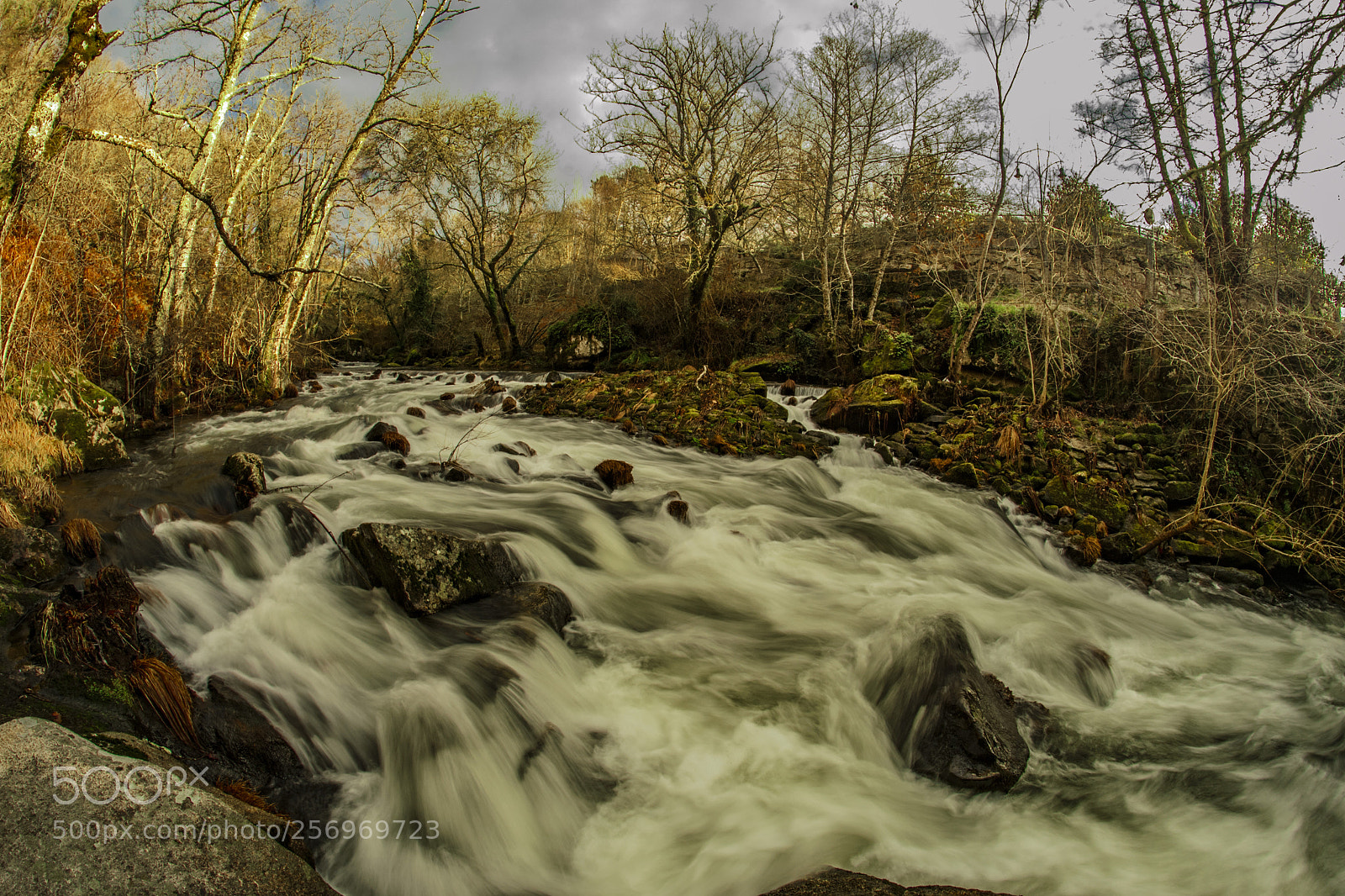 Nikon D3100 sample photo. The river photography