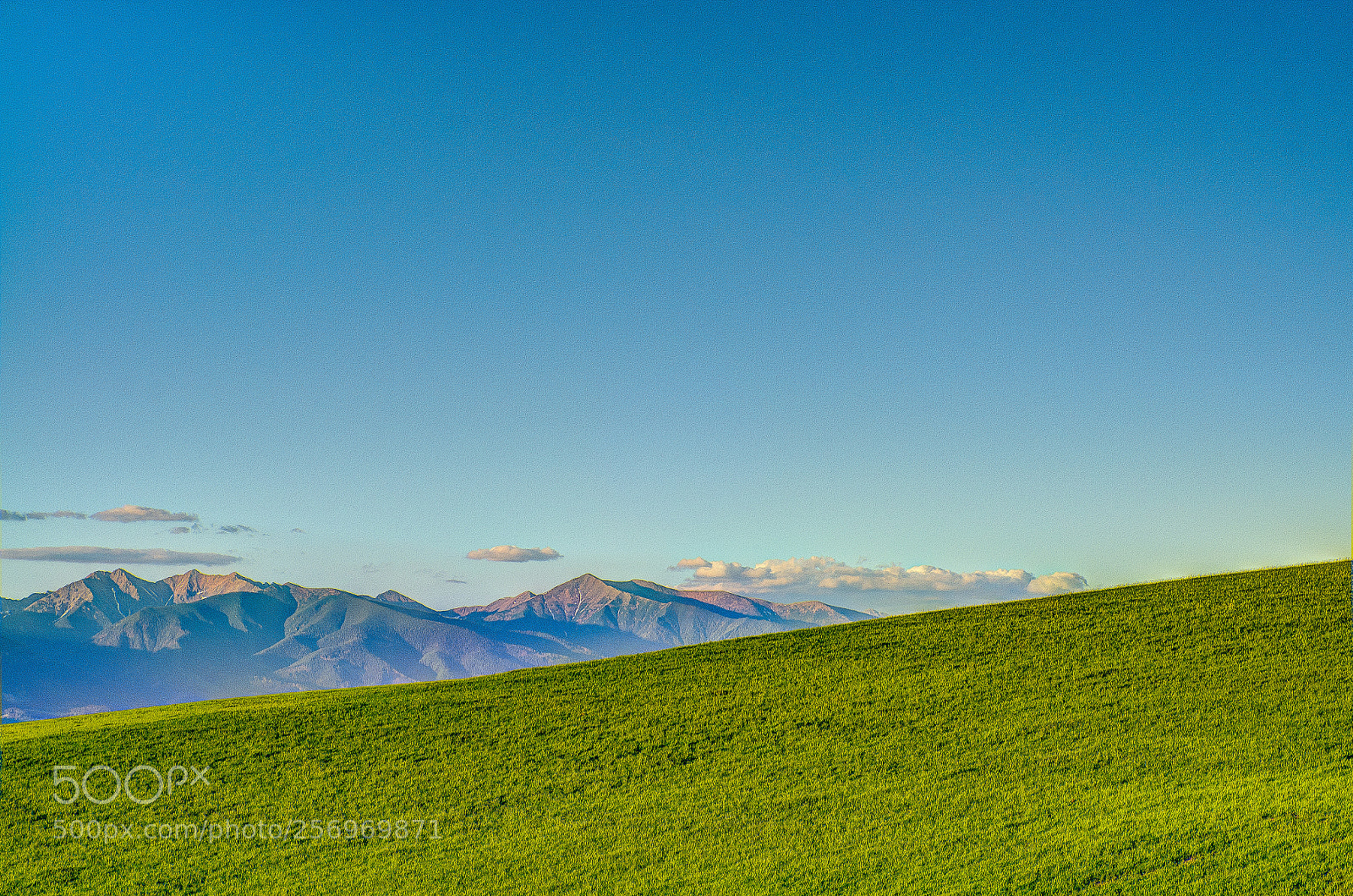 Nikon D7000 sample photo. Painterly photography