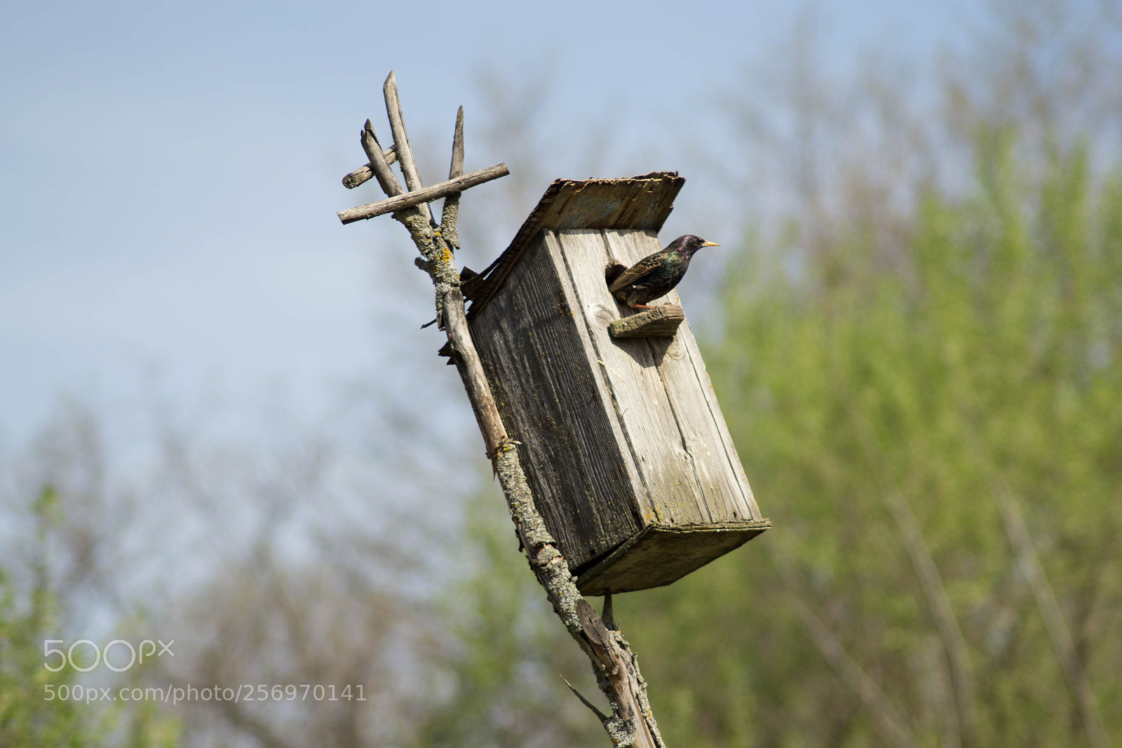 Nikon D3100 sample photo. Untitled photography