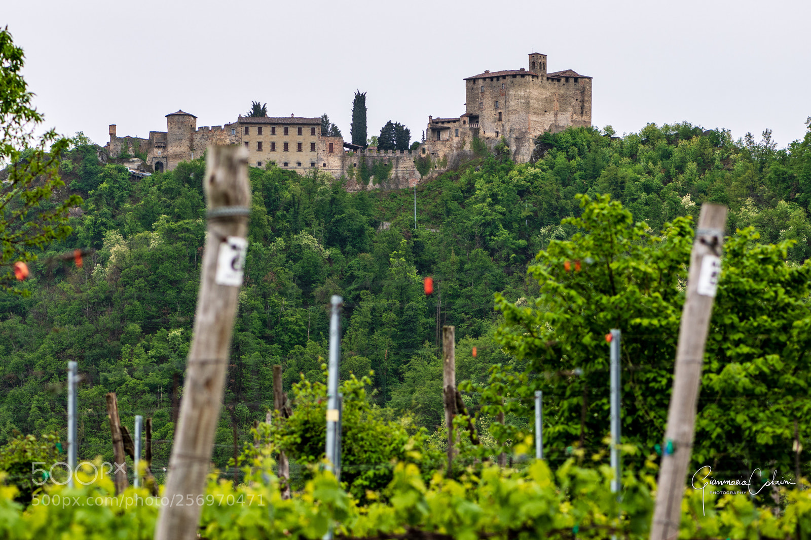 Nikon D850 sample photo. Rocca d’olgisio photography