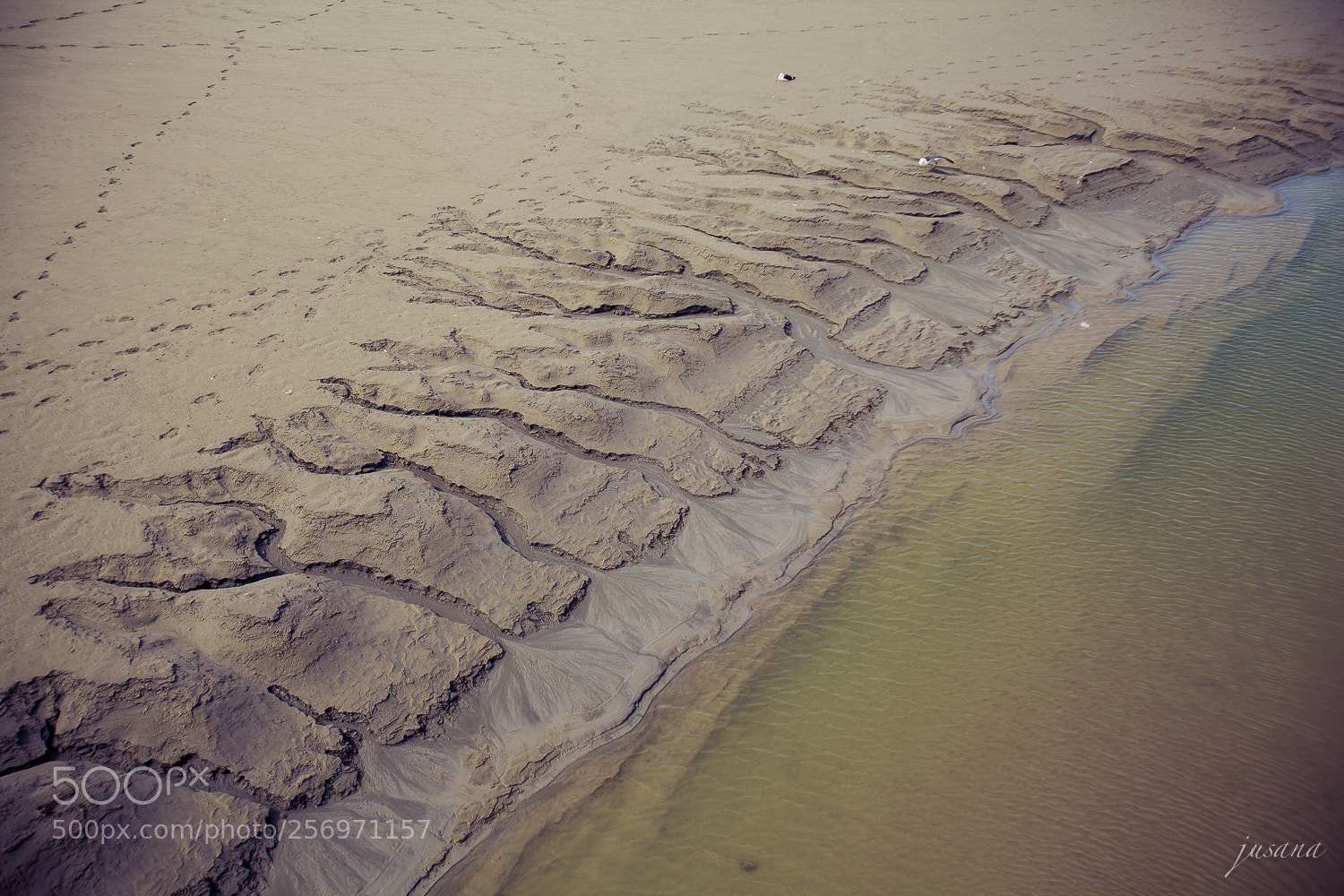 Canon EOS 5D Mark II sample photo. Curving sands photography