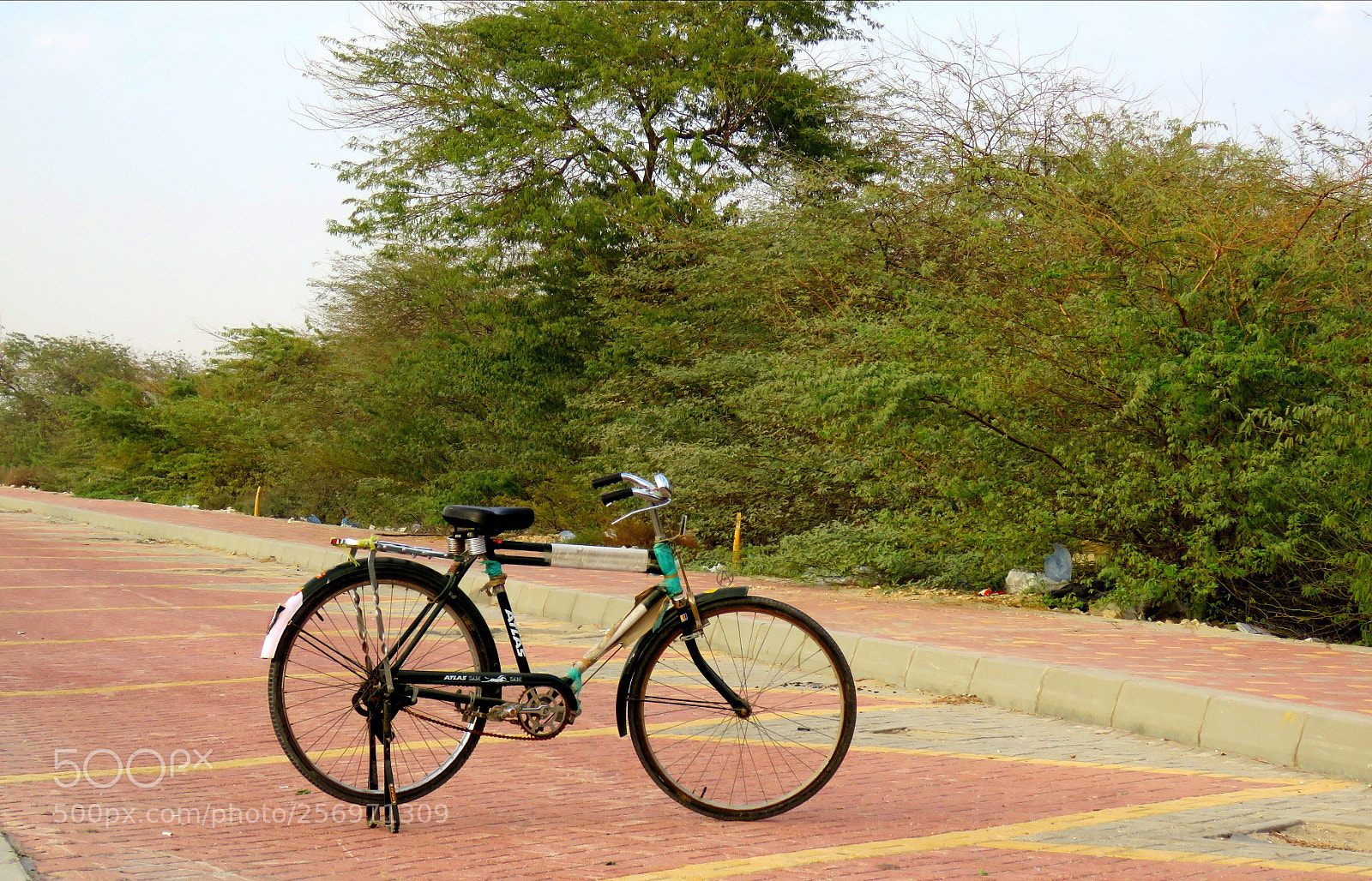 Canon PowerShot SX60 HS sample photo. Cycle photography