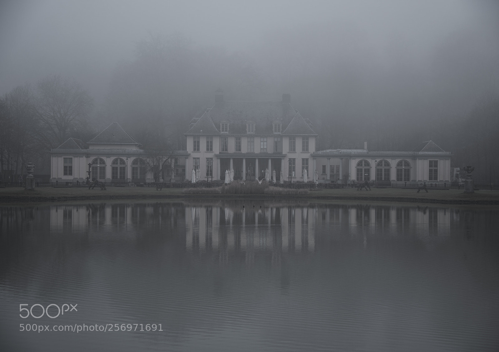 Nikon D750 sample photo. House in the mist photography