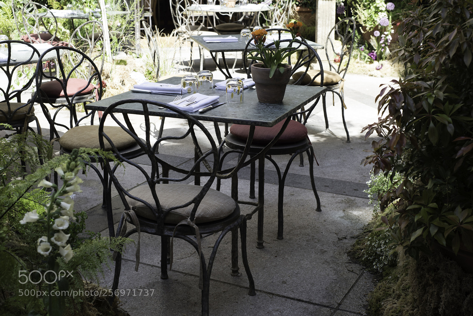 Nikon D810 sample photo. London may photography