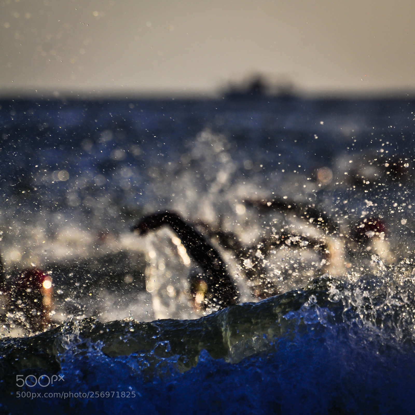Nikon D5000 sample photo. Ironman photography