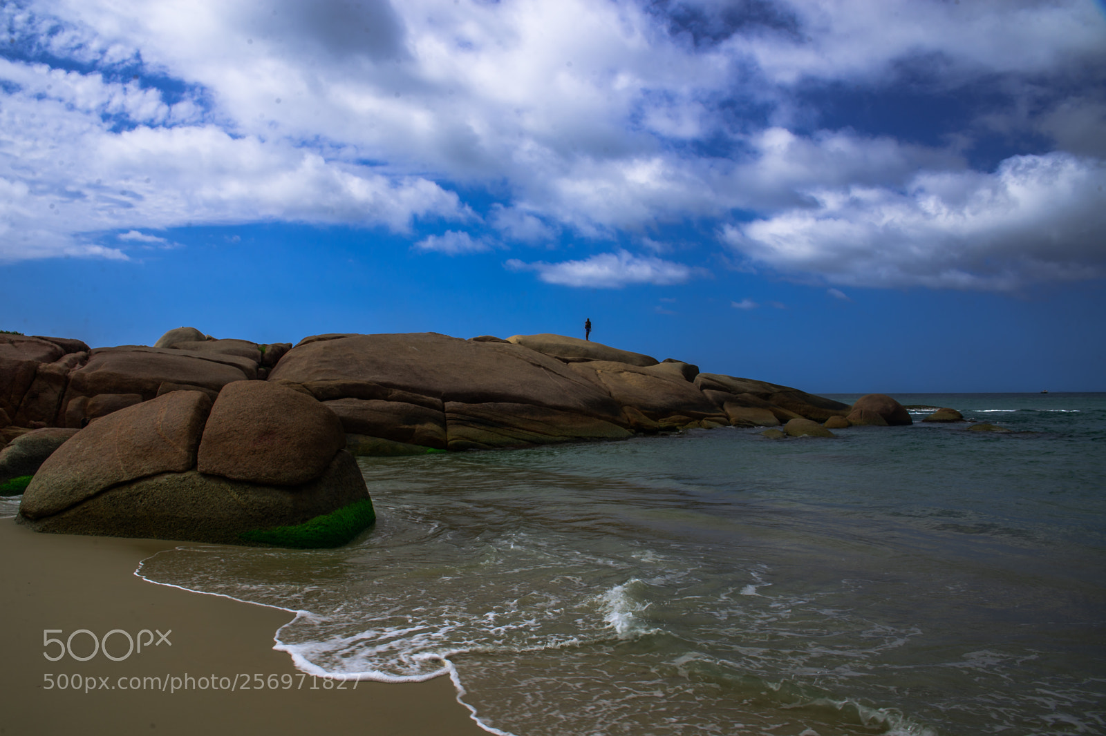 Nikon D610 sample photo. Manh s na mole photography
