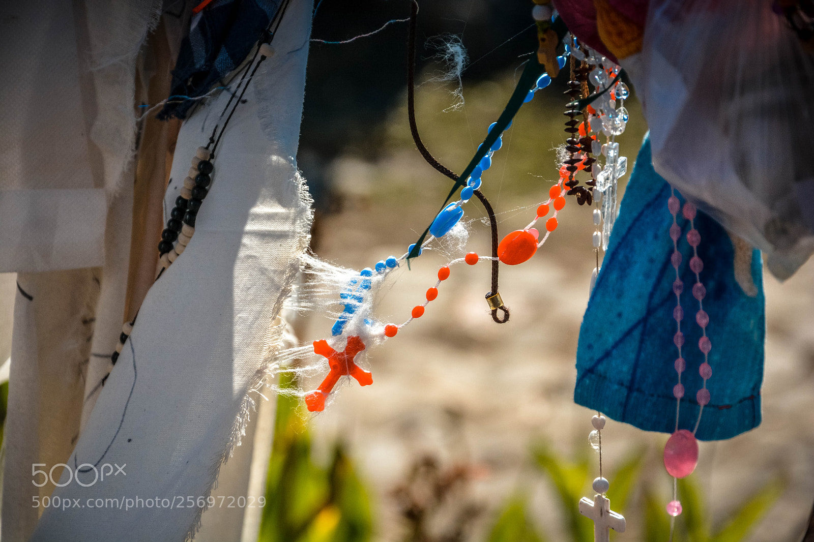 Nikon D7100 sample photo. Cruz photography