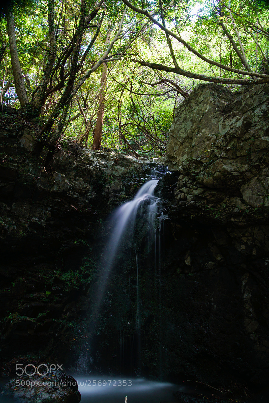 Sony a7R II sample photo. Tsushima photography