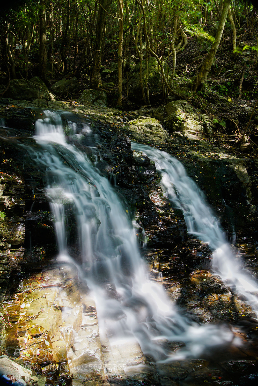 Sony a7R II sample photo. Tsushima photography