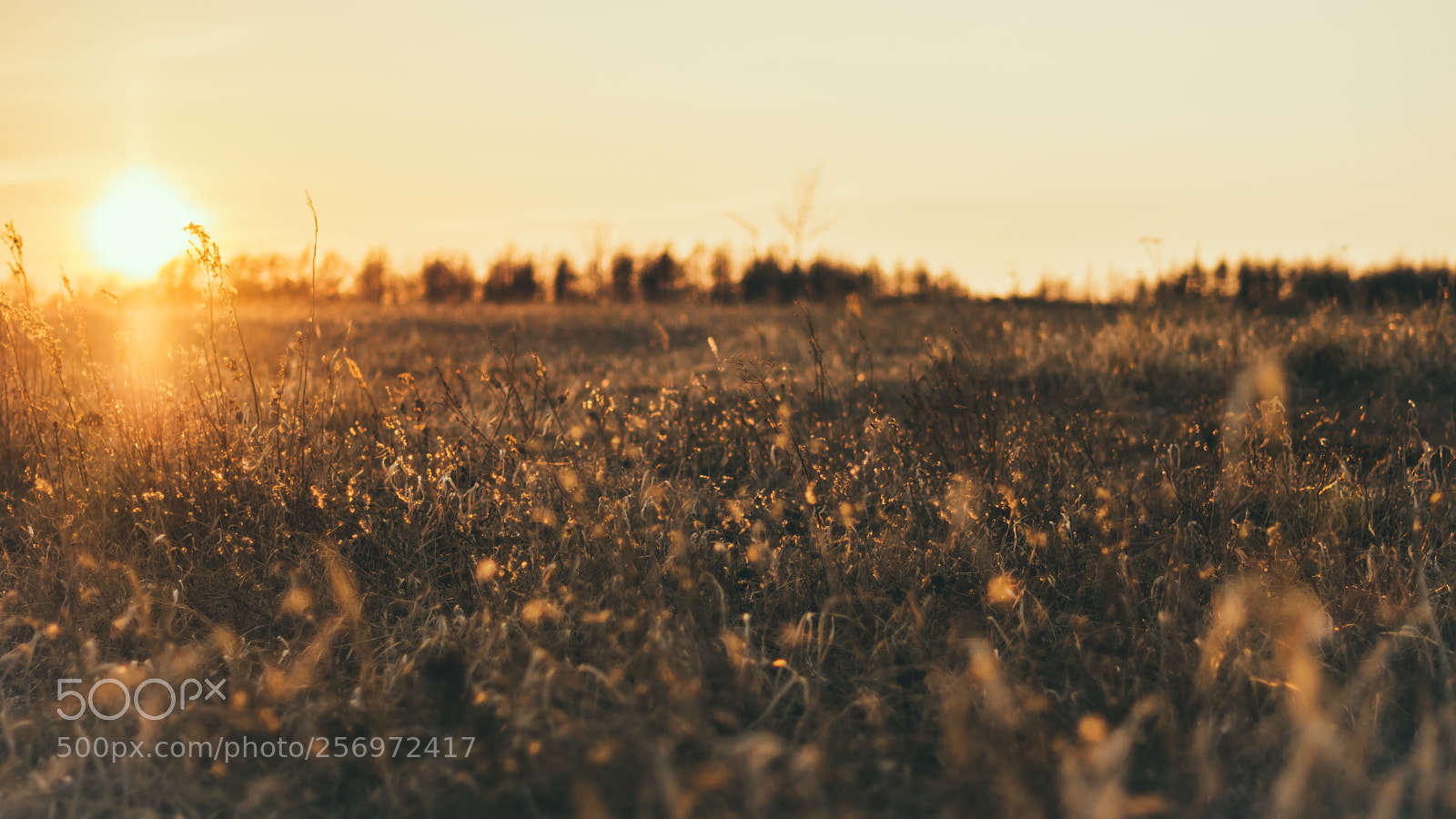 Nikon D7200 sample photo. Теплота photography