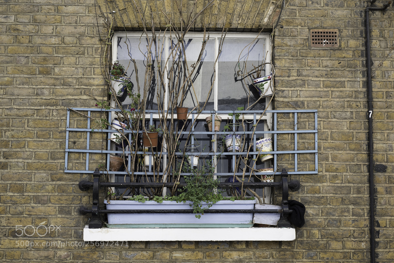 Nikon D810 sample photo. London may photography