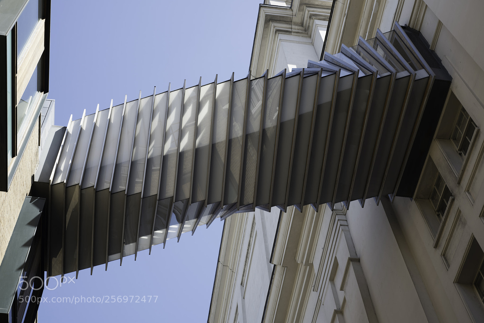 Nikon D810 sample photo. London may photography