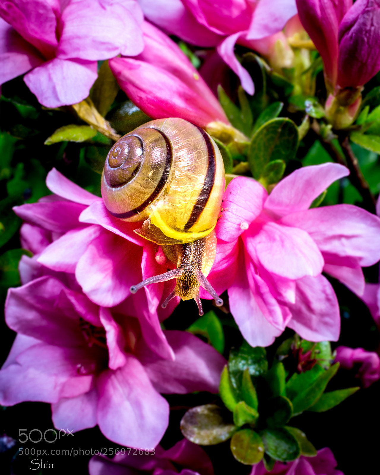 Nikon D7200 sample photo. Untitled photography