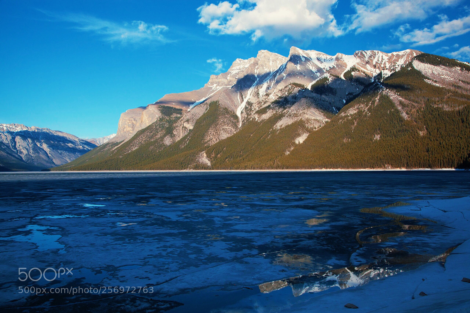 Canon EOS 5D Mark II sample photo. Cool crisp and warm photography