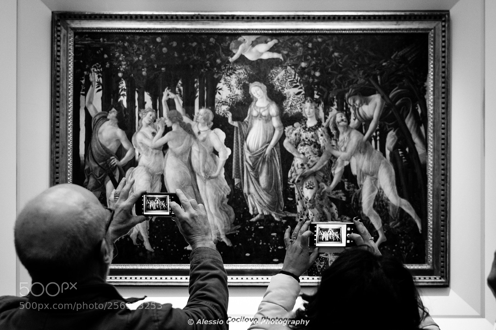 Canon EOS 60D sample photo. Art of art photography
