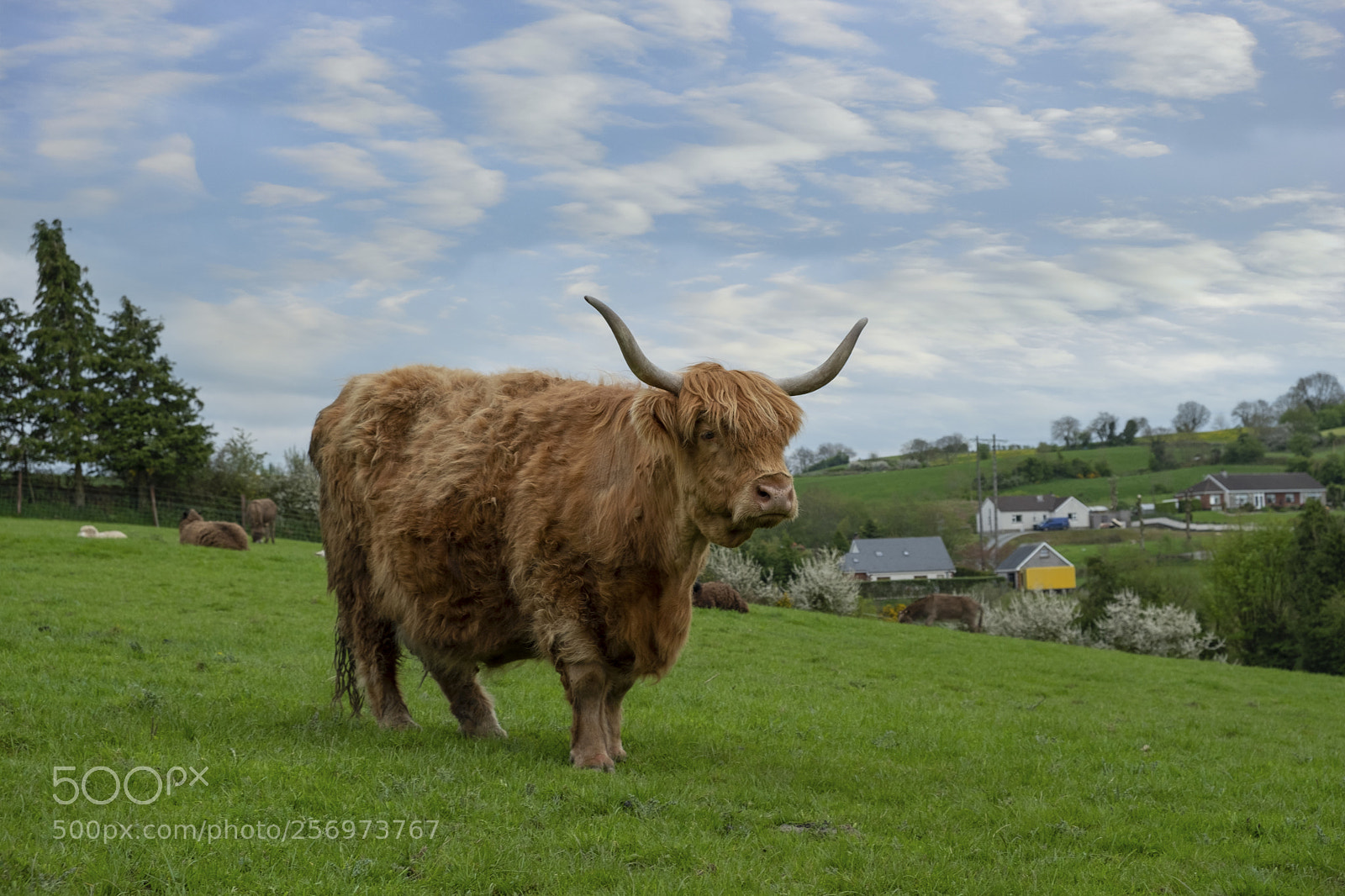 Fujifilm X-T2 sample photo. In the farm photography