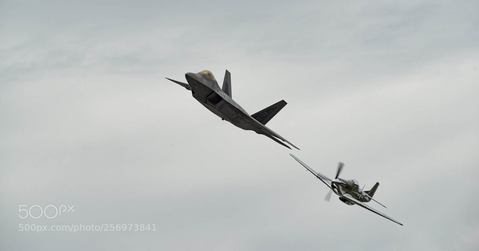 Nikon D800 sample photo. Heritage flight photography
