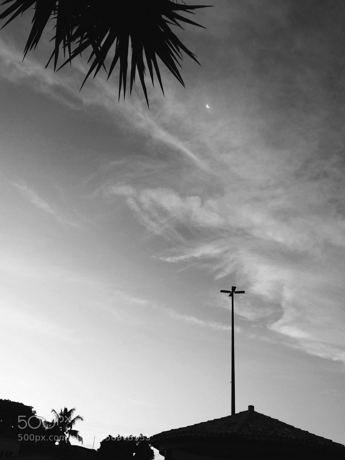 Motorola MotoG3 sample photo. ∆° photography