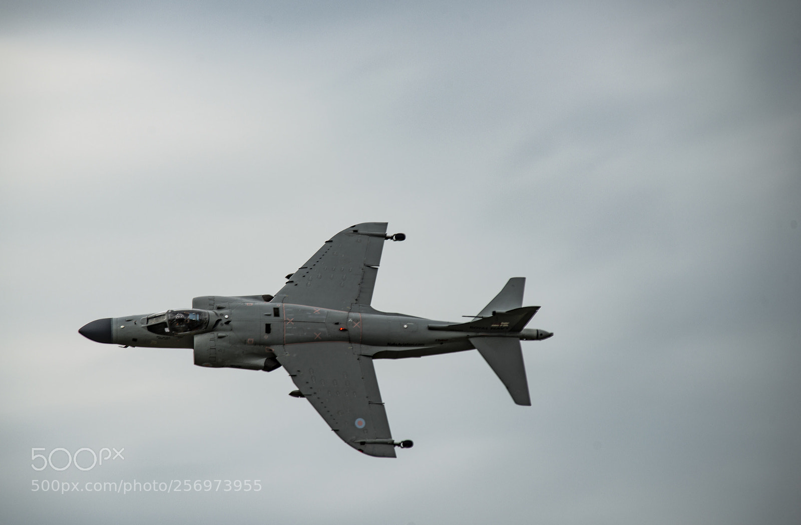 Nikon D800 sample photo. Flyby of an av-8b photography