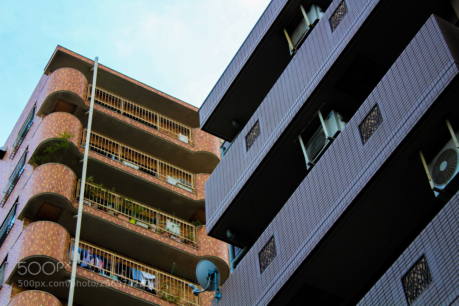 Canon EOS 1300D (EOS Rebel T6 / EOS Kiss X80) sample photo. Contrasting compliments photography