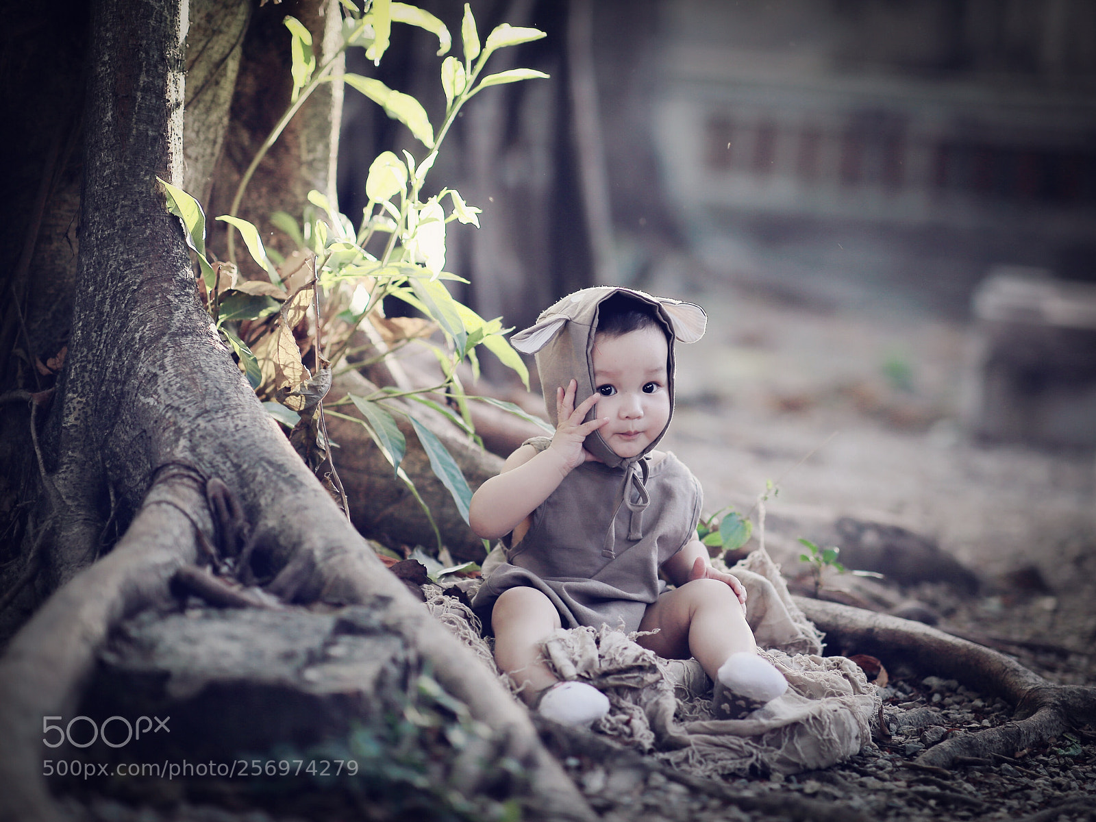 Canon EOS 6D sample photo. Untitled photography