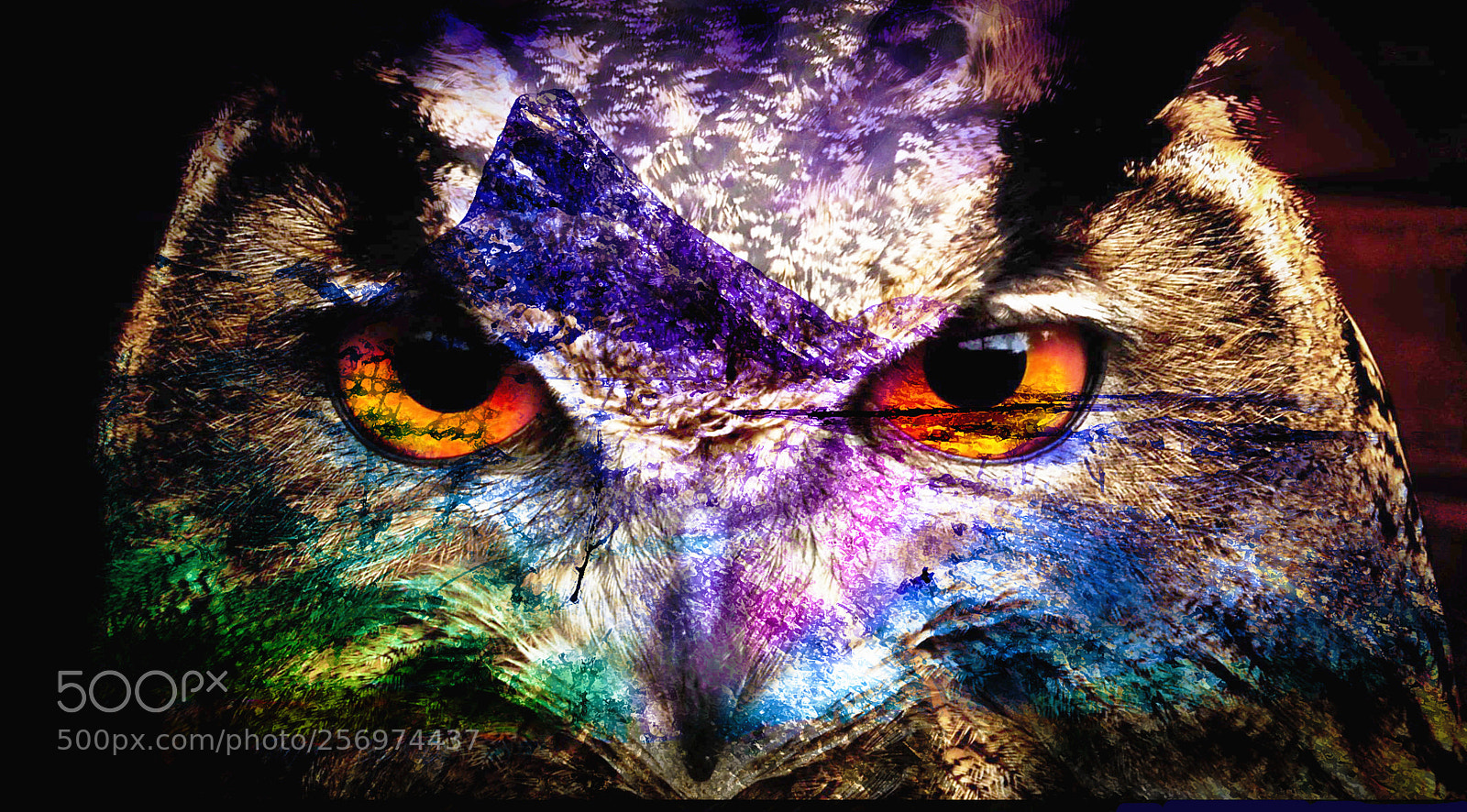 Canon EOS 5DS R sample photo. Inner singularity photography
