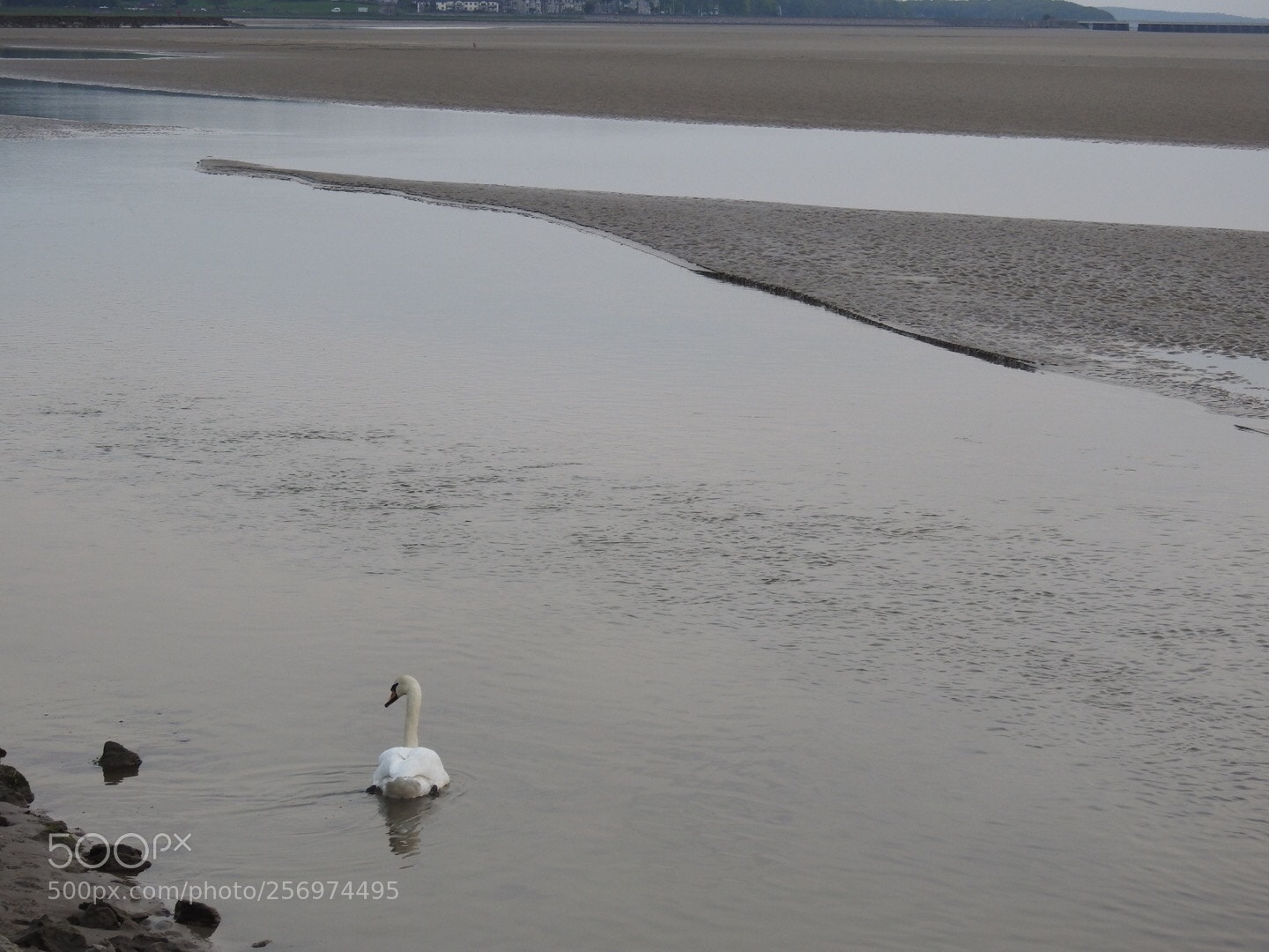 Nikon Coolpix P900 sample photo. Tonight at arnside  photography