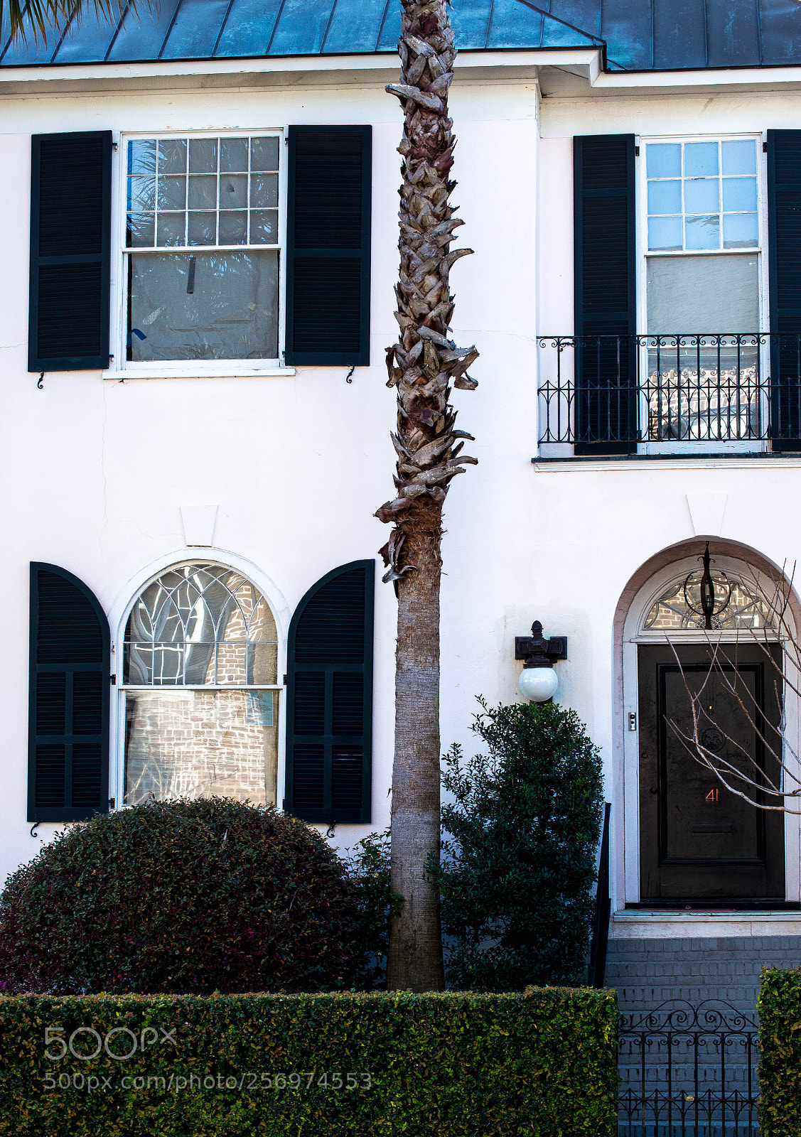 Nikon D3200 sample photo. White house photography