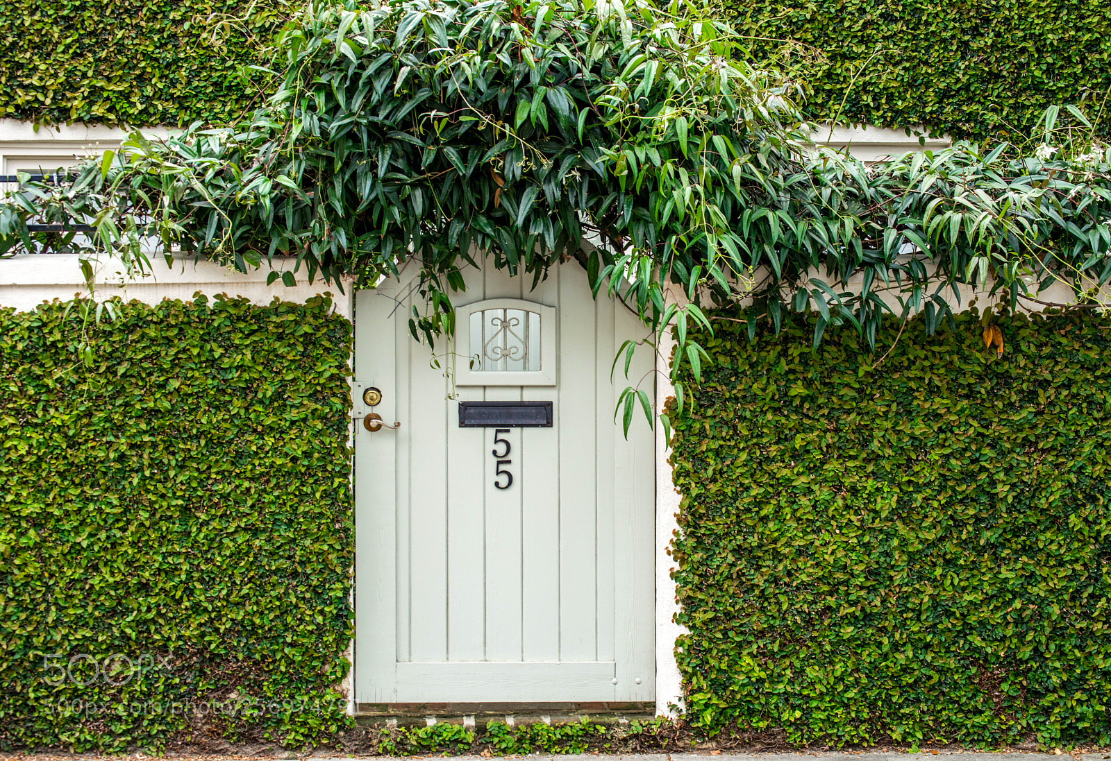 Nikon D3200 sample photo. Secret garden photography