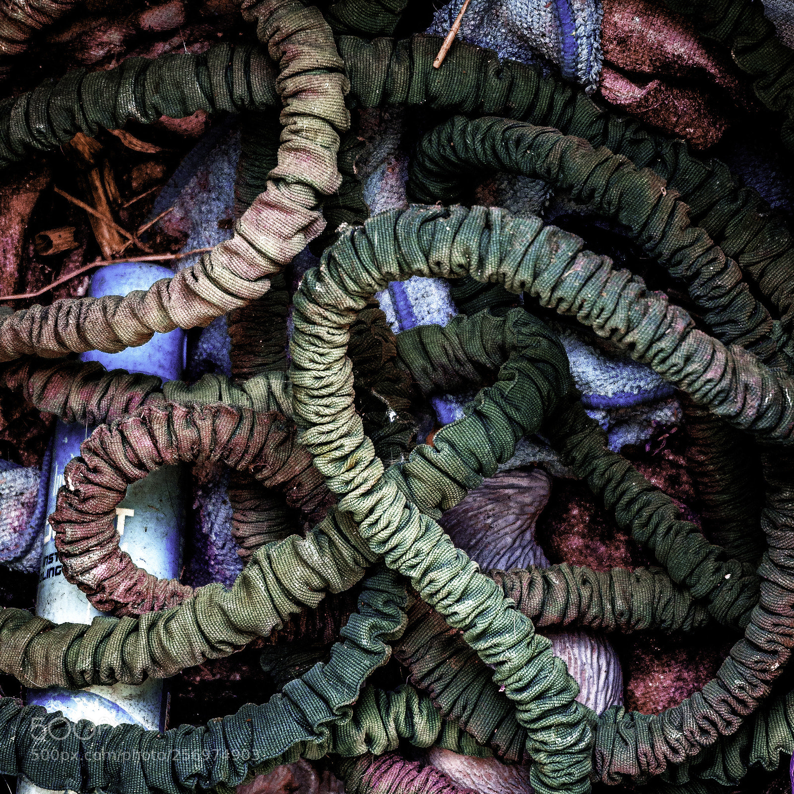 Sony a6000 sample photo. Hippy entrails photography