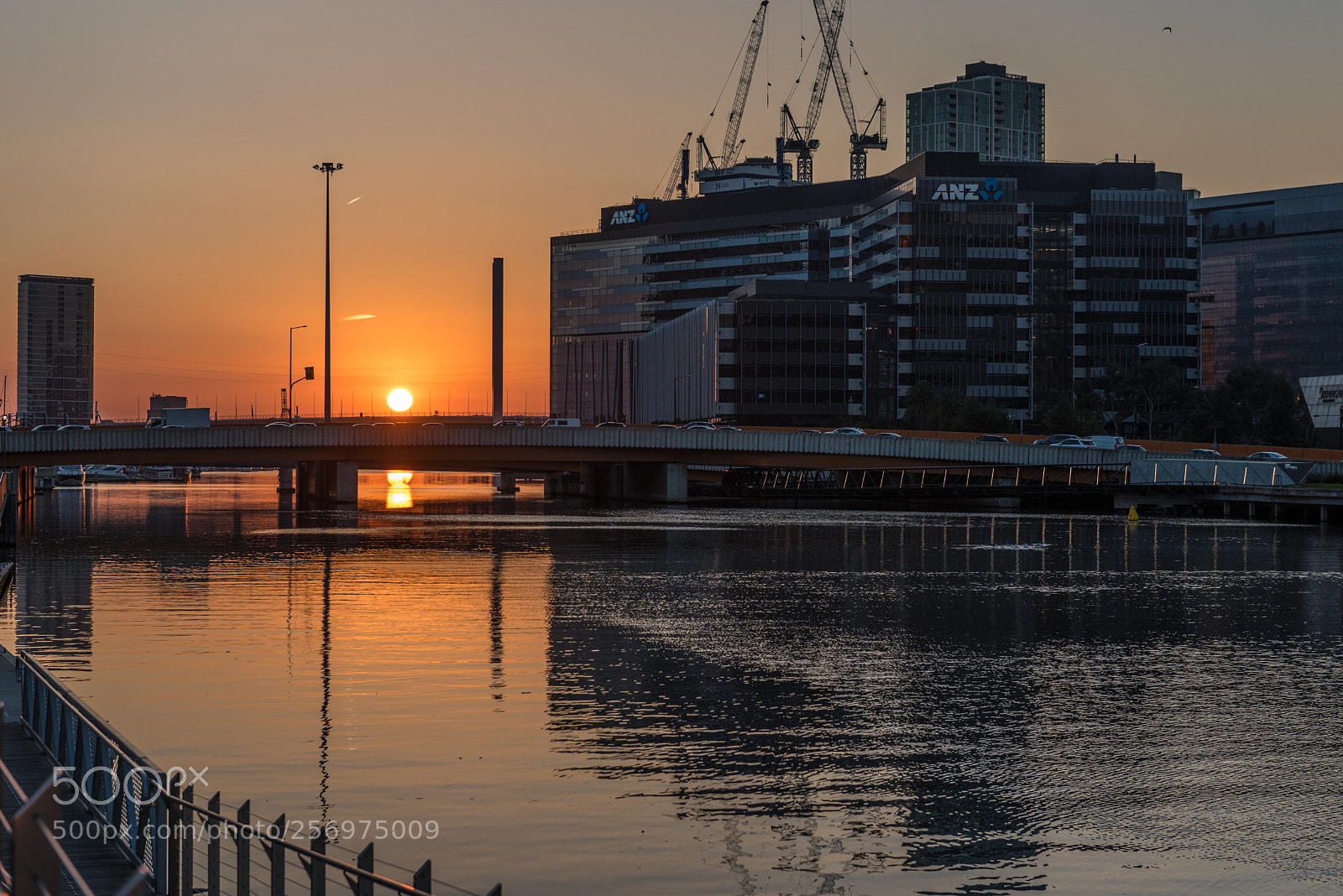 Nikon D750 sample photo. Autumnal warmth photography