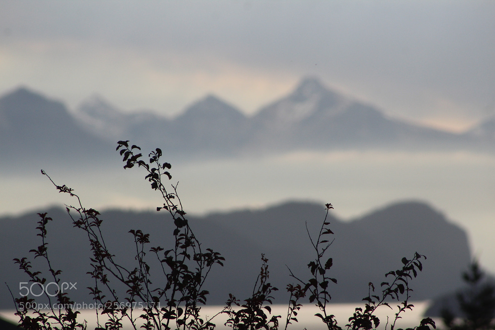 Canon EF 75-300mm f/4-5.6 sample photo. Escala de grises photography