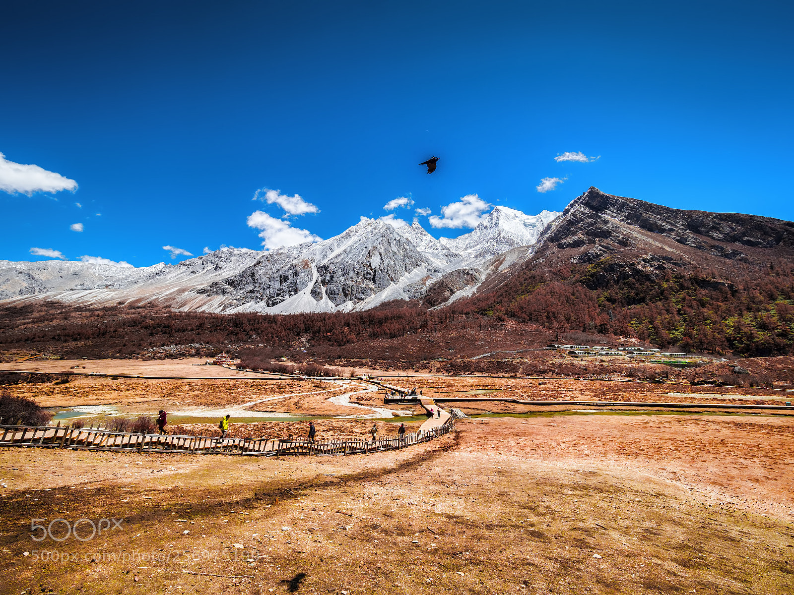Olympus OM-D E-M1 Mark II sample photo. Yading nature reserve of photography