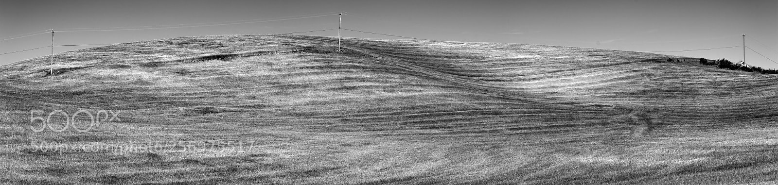 Sony a7R II sample photo. Hillside panorama _ bw photography