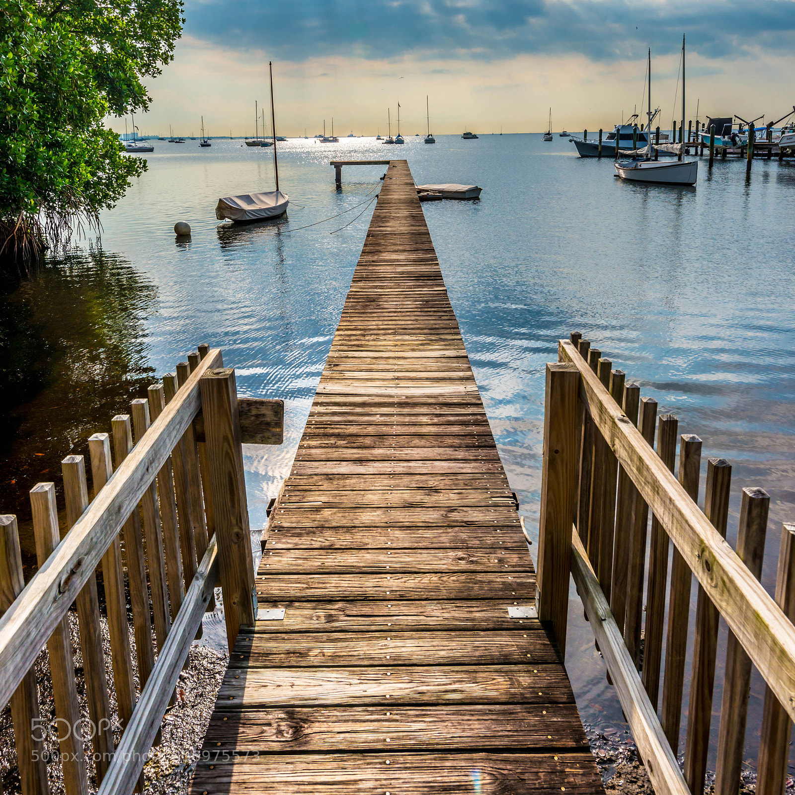Nikon D800 sample photo. Coconut grove dock, florida photography