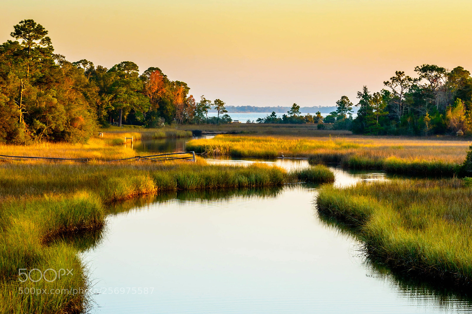 Nikon D800 sample photo. Garcon point, florida photography