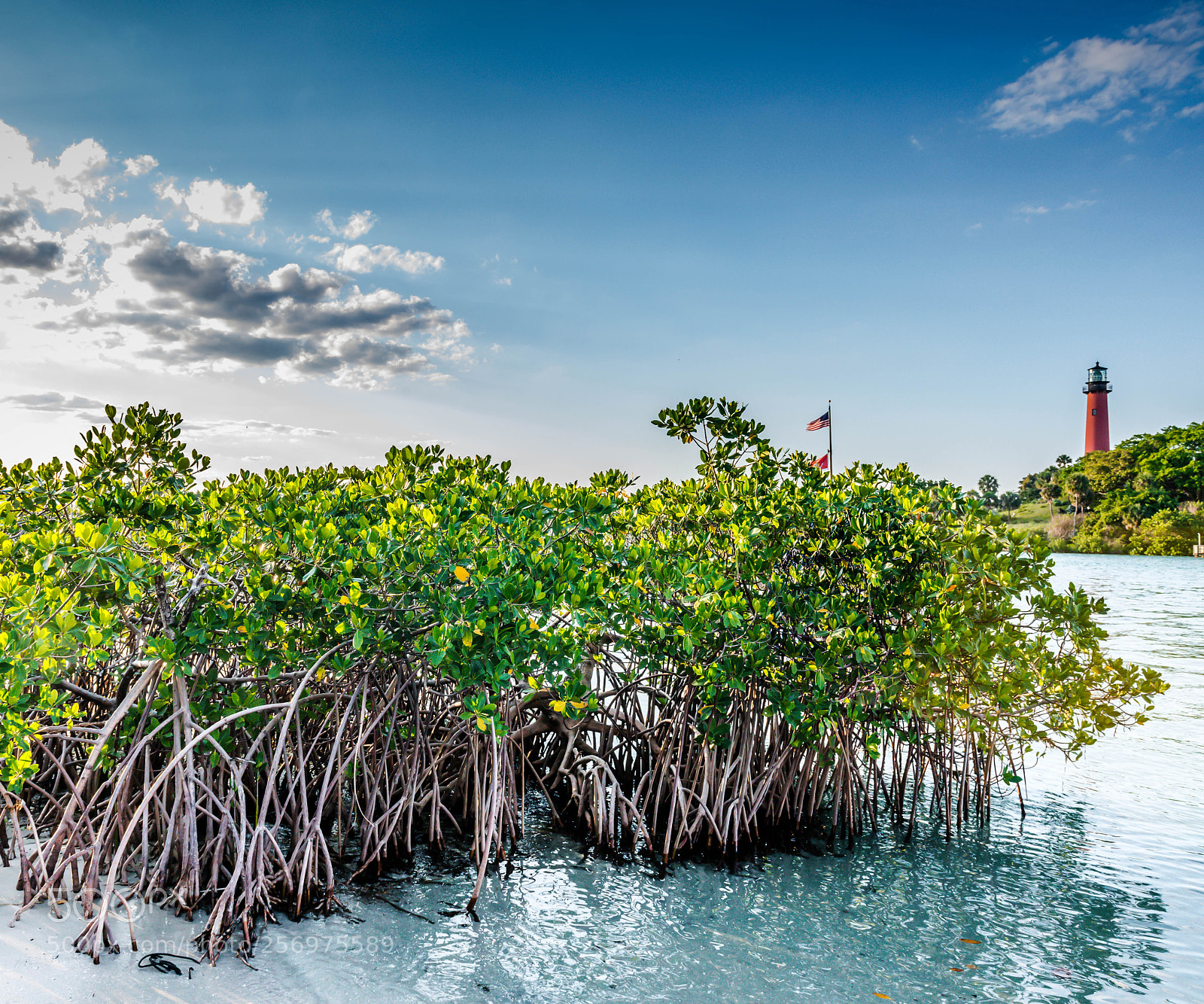 Nikon D800 sample photo. Jupiter inlet, florida photography